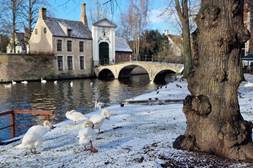 Beschrijving: Beschrijving: Beschrijving: Beschrijving: Beschrijving: Clip0000